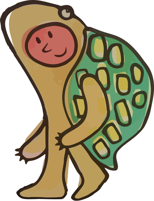 turtle turtle